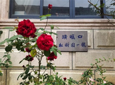 命急丸世界唯一；HIV七天有抗体转阴