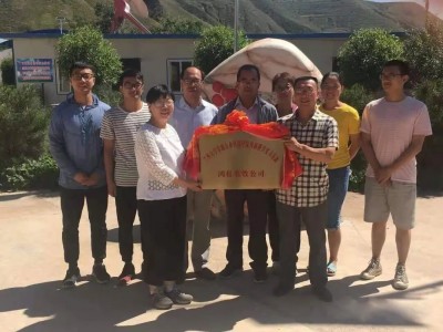 鸿壮农牧创始人李杰，扎根乡土，以“羊”为笔绘振兴