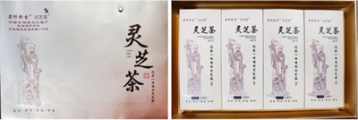 梁野筑梦兴产业 丹心献礼新征程 ——记福建武平梁野珍堂林文辉