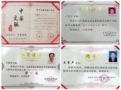 当代国学大师——王震声