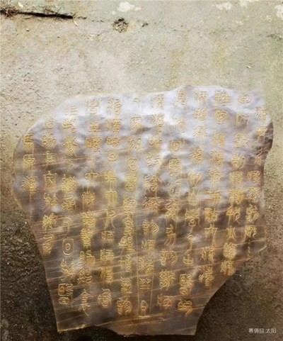 世界中医药联合会 传统医学博士 -——-马忠义院长