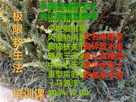 民族医（回）学是世界的医学世界中医药联合会传统医学博士——马忠义院长